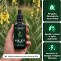 Mullein detox pulmonar - AURÈNE